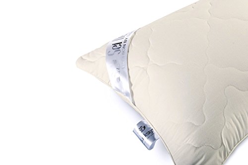 Angebot DOPPELPACK: 2x Sei Design® Premium Mikrofaser Kopfkissen Aphrodite. Füllung aus 3-D Faserkügelchen – sehr weich und angenehm – Stützkraft regulierbar durch Reißverschluss. Eine eingearbeitete Kante verleiht dem Kissen eine besondere Elegance. (80×80, champagner) - 4