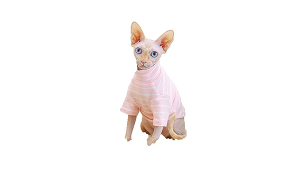 sphynx cat clothes amazon