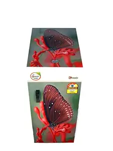 CLASSIC ATTA CHAKKI (PLUS BUTTERFLY) Fully Automatic Domestic Flour Mill, Premium ISI Plywood Body with Inside Fully Stainless Steel, Aatta Maker, Atta chakki, Ghar Ghanti, Specially For Grains Grinding With Standard Premium Accessories. (0.75 Unit/hr low Consumption 1 HP Electric Motor)