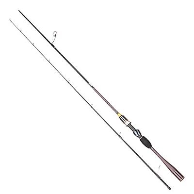 Seaquest Appâts Casting 6'6"198cm 2PC Portable Canne à pêche filante Canne à pêche 6ft6in Puissance Moyenne/légère, SF 662ML