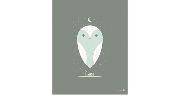 Wheatpaste Art Collective Barn Owl Stretched Canvas Wall Art By