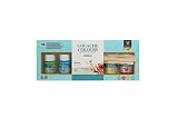  Takestop® Juego 6 Piezas Botes de 25 ml pintura gouache Colours colores luminosas tinta adornos manualidades Decoupage Fai Da Te