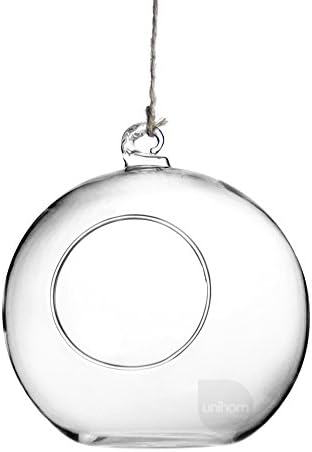 Flower Vase (Orb 6cm Set of 3) Clear Glass Air Plant Hanging Pot for Home Garden Office Restaurant Wedding Decoration Artificial Handmade Gift - Unihom
