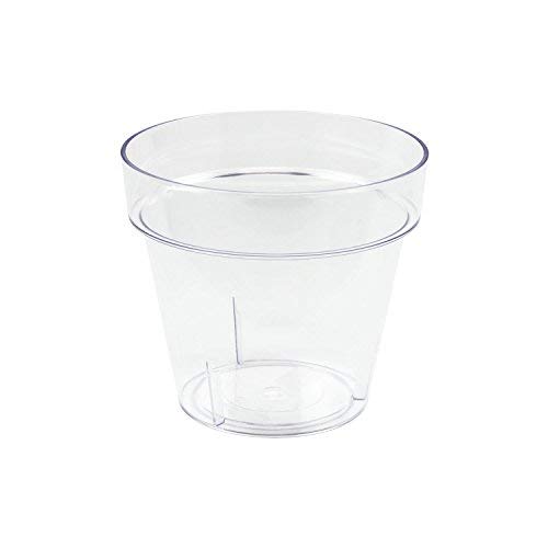 Prosperplast - Maceta Cube p 14x12.4h cm Transparente e.10