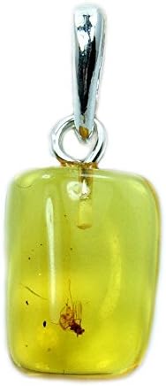 Rare Natural Baltic Amber with Insect Inclusion &amp; Sterling Silver Pendant