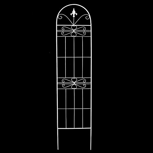 TOM-GARTEN Rankgitter 'Trent'