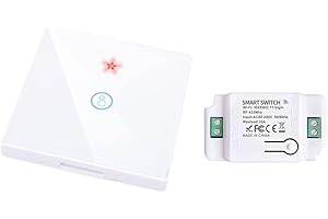 proAMEDEN Interruptor inteligente de pared, panel de cristal táctil+Relé inalámbrico,10A, funciona con app Tuya/Smart Life, compatible con Alexa y Google Assistant(2/un-1GangWS+1/un Controller White)