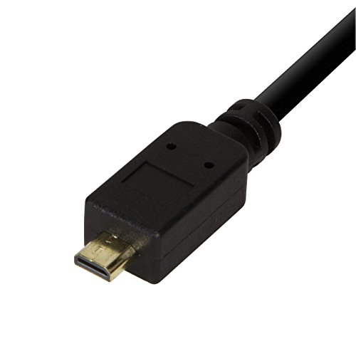 BIGtec micro HDMI / DVI Adapter 20cm Kabel – HDMI D Stecker auf DVI-D Stecker / vergoldete Stecker und Pins - 3