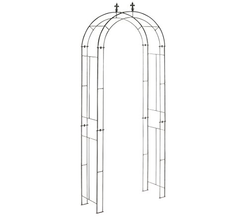 Dehner Rosenbogen Vivian, ca. 253 x 34 x 100 cm, lackiert, feuerverzinkt, schwarz