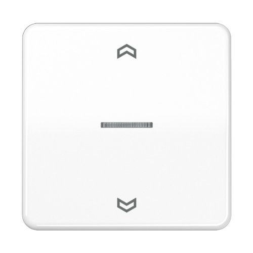 Preisvergleich Produktbild Jung CD590KO5PWW Wippe für Taster BA 1-fach KO