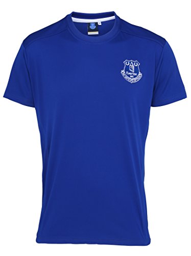 Official Football Merchandise Unisex Everton FC Adults T-Shirts S-2XL