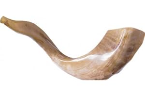 SHOFAROT ISRAEL Schofar Jerusalem Shofar Kosher Rams Horn Polished Natural Chofar Showfar Jewish Blow Trumpet Gift Elul instrument koscher Hupe