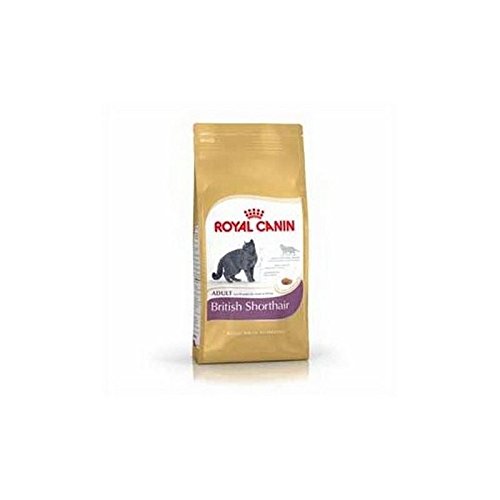 Preisvergleich Produktbild Royal Canin Britisch Kurzhaar (400G)