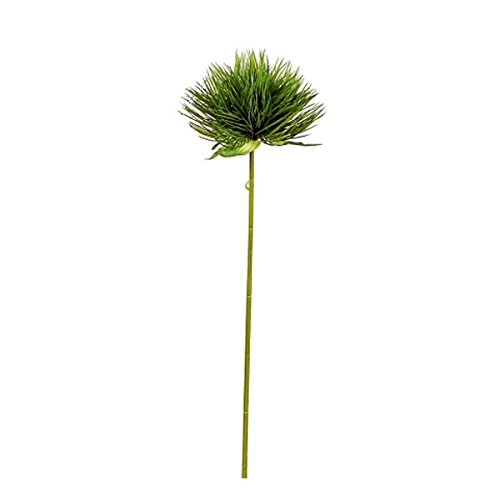 Preisvergleich Produktbild Cyperngras 67cm