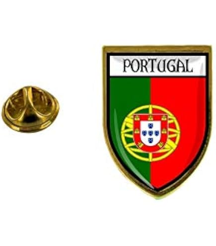 PINS PIN BADGE pin's souvenir ville drapeau pays blason