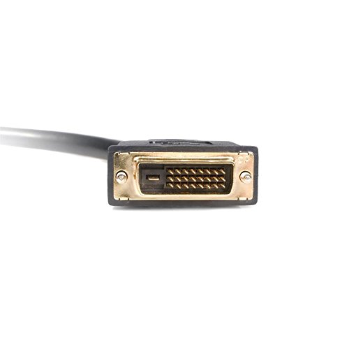 StarTech.Com DVISPL1DD DVI-D auf 2x DVI-D 30 cm Splitter Kabel - 3