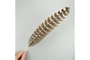RAEF Plumes d'aigle Naturelles, 10 pièces/lot, pour Artisanat, Accessoires de Coiffure, décoration de Vacances, Plumes de Carnaval, décor Artisanal DIY