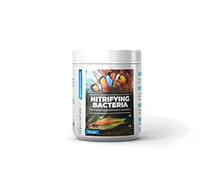 AquaNature Nitrifying Starter Beneficial Bacteria for Fresh & Salt Water Aquarium Immediately Starts Aquarium Cycle (100g)