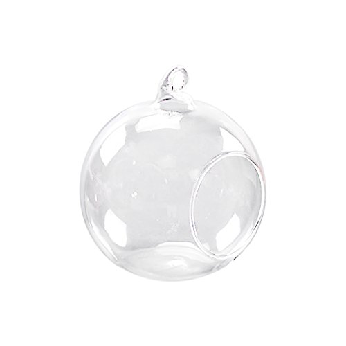 Hängende Glas Blumenvase Vase für Hängedeko Pflanzen Dekoration - 12cm Durchmesser