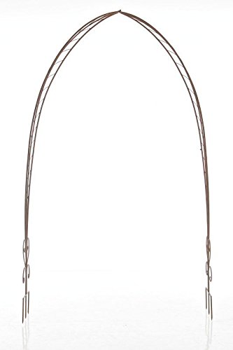 CLP Rosenbogen ELLEN, Metall, pulverbeschichtet, Höhe 245 cm, Größe 160 cm x 35 cm antik braun - 3