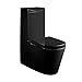 Produktbild Lux-aqua Design Keramik Stand Nano-Beschichtung inkl. SoftClose WC Sitz Schwarz A380B-N