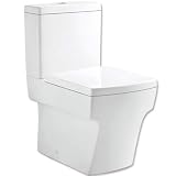 Inodoro, sanitario, water, baño