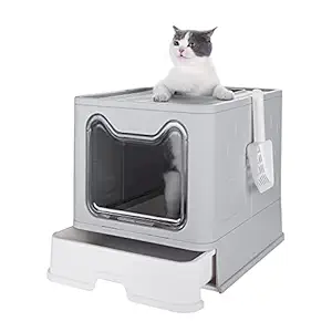 Cat Litter Box