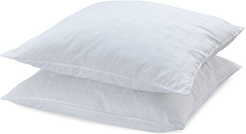 AmazonBasics Mikrofaserkissen mit Baumwollhülle, 80 x 80 cm, 2 Stk.