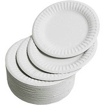 Disposable Party Picnic Paper Plate 18cm 100/Pack - White
