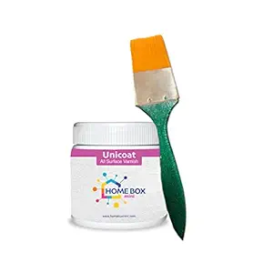 HOME BOX mini Unicoat All Surface Varnish with Soft Bristle Brush for Wood and Decorative Stones (100 g)