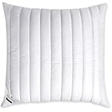 Billerbeck 5454640001 cojín E34 Fresh Star, aproximadamente 40 x 80 cm