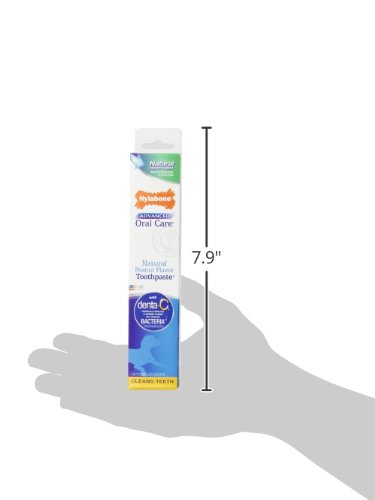 Nylabone-Advanced-Oral-Care-Natural-Toothpaste-2-12-Ounce