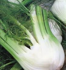 Fennel Di Frenze seeds