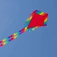 CIM Kinderdrachen - Maya Eddy Red - Einleiner-Drachen für Kinder ab 3 Jahren - Abmessung: 65x74cm - inkl. 80m Drachenschnur und 2x250cm Streifenschwänze