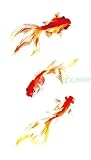 3. Muy buena elección como tatuaje temporal, maquillaje corporal, y también puede cubrir cicatrices en el cuerpo.
