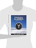 Image de Introductory Algebra