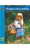 Image de Nuestros Cinco Sentidos (Yellow Umbrella Books (Spanish))