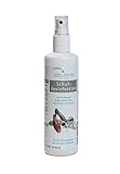 Desiderm Schuhdesinfektion 250 ml Sprühflasche...