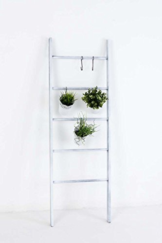 CLP Kleiderleiter MARIETTE, Dekoleiter, Holz Dekoregal, 5 Sprossen, Breite 50 cm, Höhe 145 cm Grau - 2
