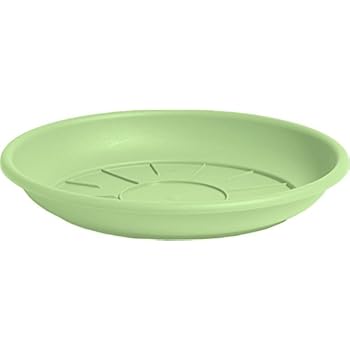 kong kickeroo cuddler