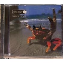 Fat of the Land: Amazon.de: CDs & Vinyl