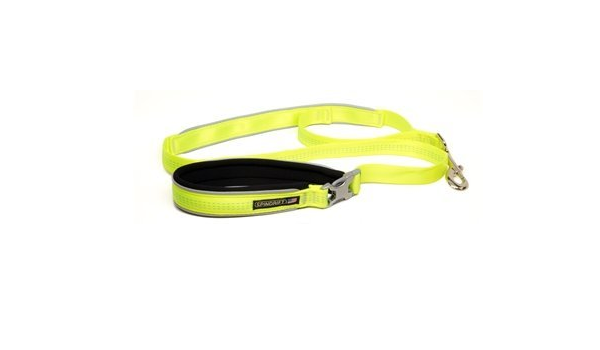 spindrift dog leash