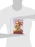 Image de Spice and Wolf: Vol. 9 - Novel: The Town of Strife 2