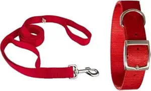 THE DDS STORE Dog Neck Collar Belts and Leash Set (Multi Color, Waterproof, Medium, Leash Size 1.5M-2M) (Color May Vary) (Small to Mediun Size Breed)