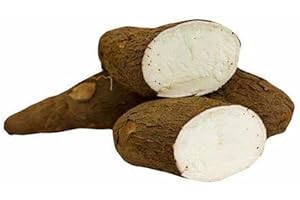 Casava || Uganda/Kenya/Ghana || FPG4U || 2 KG || £11.00