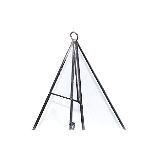 Ultra 12x12x23.7cm Premium Qualität Glas Terrarium Dreieck mit Reifen und Cut-off Rand ideal für Moos und Pflanzen oder Dekorationen (12x12x23.7cm) - 8