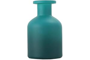 VASANA 1 botella difusora de vidrio de 150 ml/5 oz para aromaterapia, tarros exquisitos aceites esenciales, contenedor de aceites esenciales, accesorios de fragancia