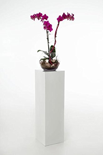 Podest Säule Blumensäule Dekosäule Blumenständer aus Fiberglas 100 cm hoch, Weiß Hochglanz - 2