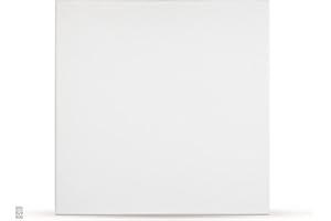 EURODECO (10 m²/40 unidades) Paneles de techo de poliestireno XPS PSE, Revestimiento de techo Decorar de pared 50x50cm espesor 2mm espuma de poliestireno pura (0814)