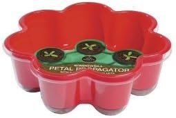 Windowsill Petal Propagator with 8 coir growing pellets